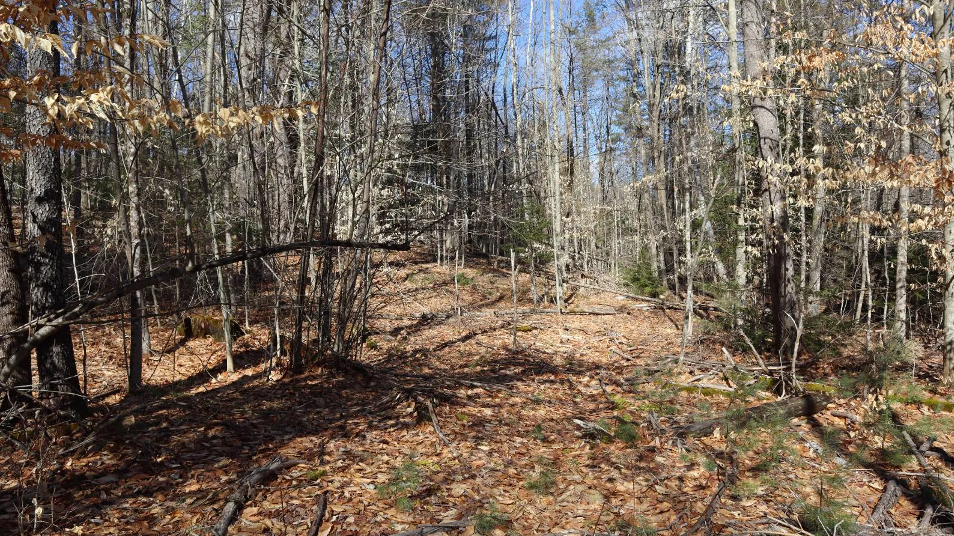 Property at 0 Bear Pond Rd, Thurman, NY 12810 54
