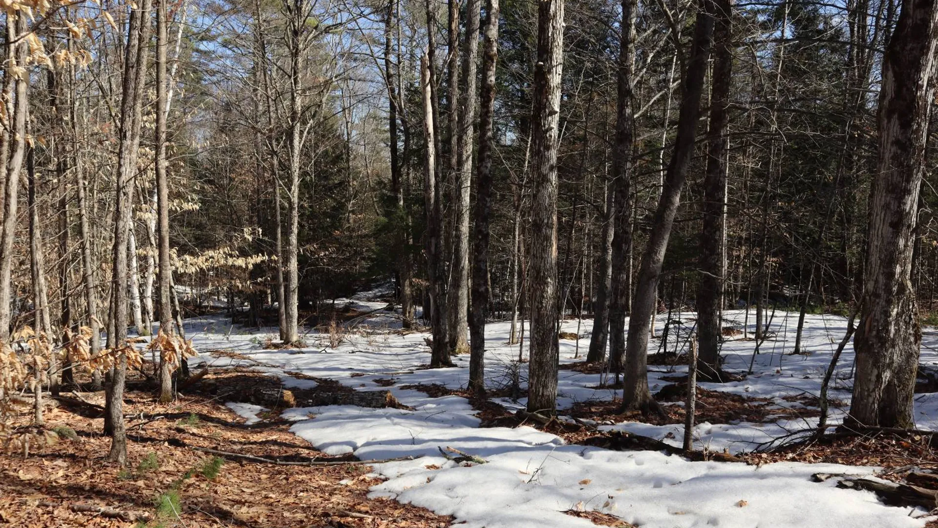 Property at 0 Bear Pond Rd, Thurman, NY 12810 55
