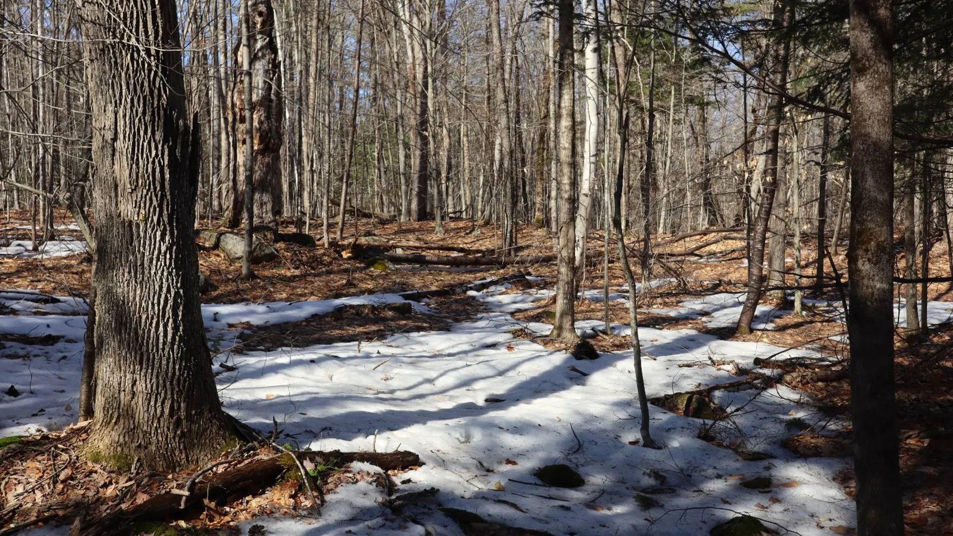 Property at 0 Bear Pond Rd, Thurman, NY 12810 56