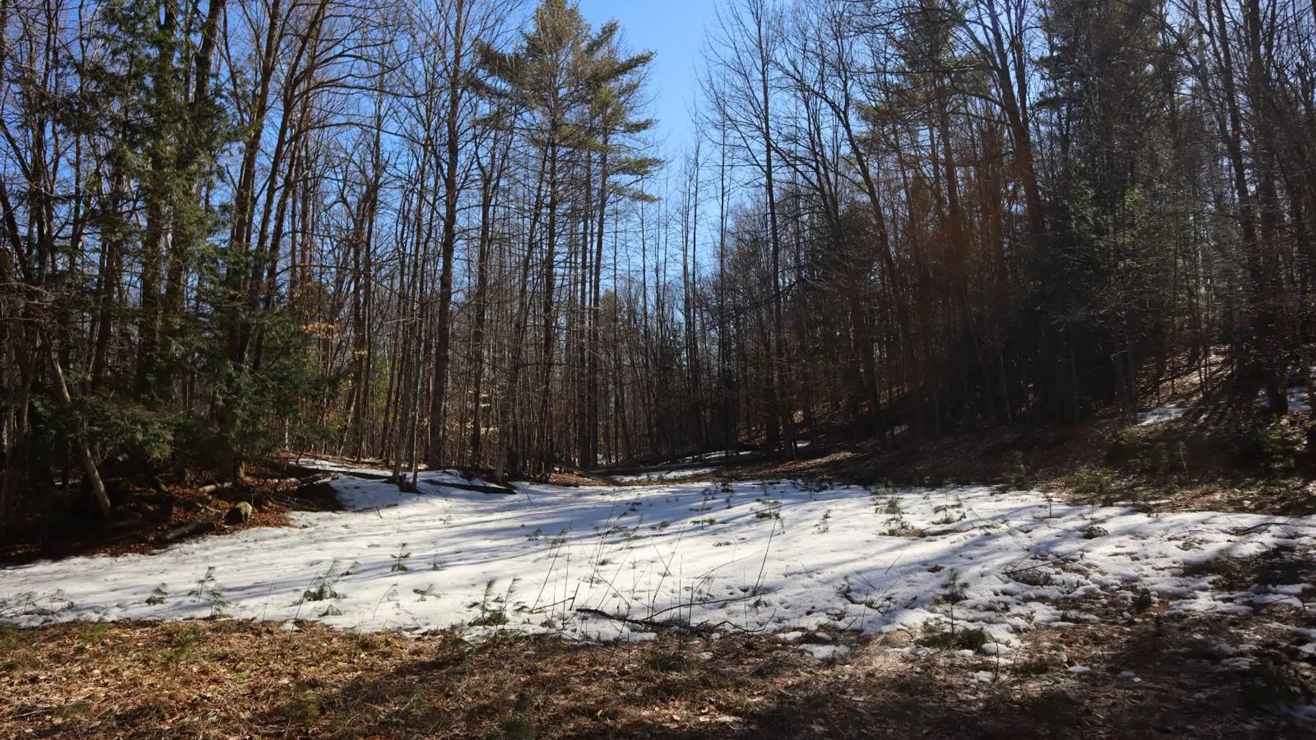 Property at 0 Bear Pond Rd, Thurman, NY 12810 57