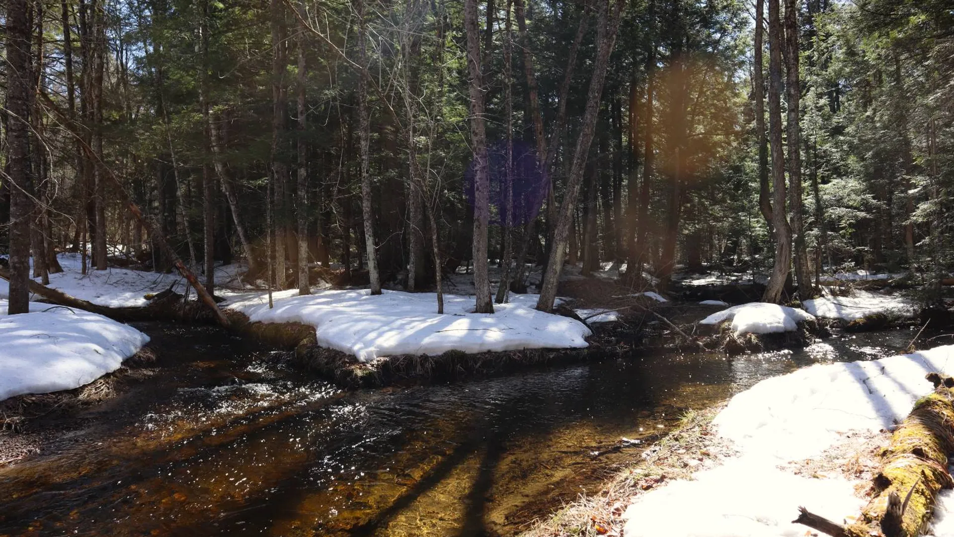 Property at 0 Bear Pond Rd, Thurman, NY 12810 6