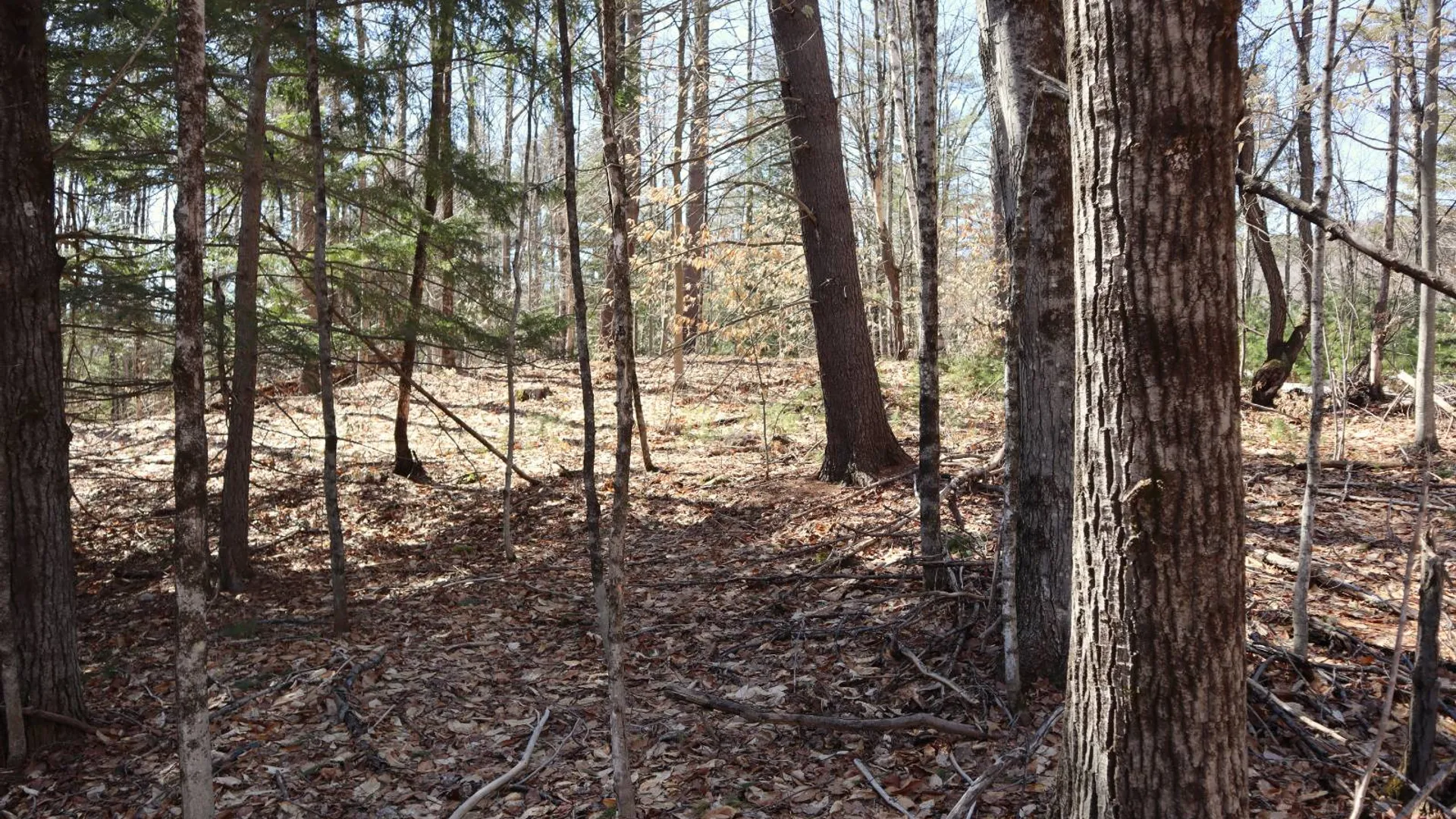 Property at 0 Bear Pond Rd, Thurman, NY 12810 7