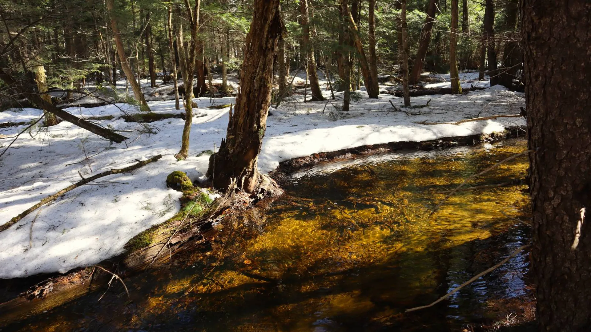 Property at 0 Bear Pond Rd, Thurman, NY 12810 9