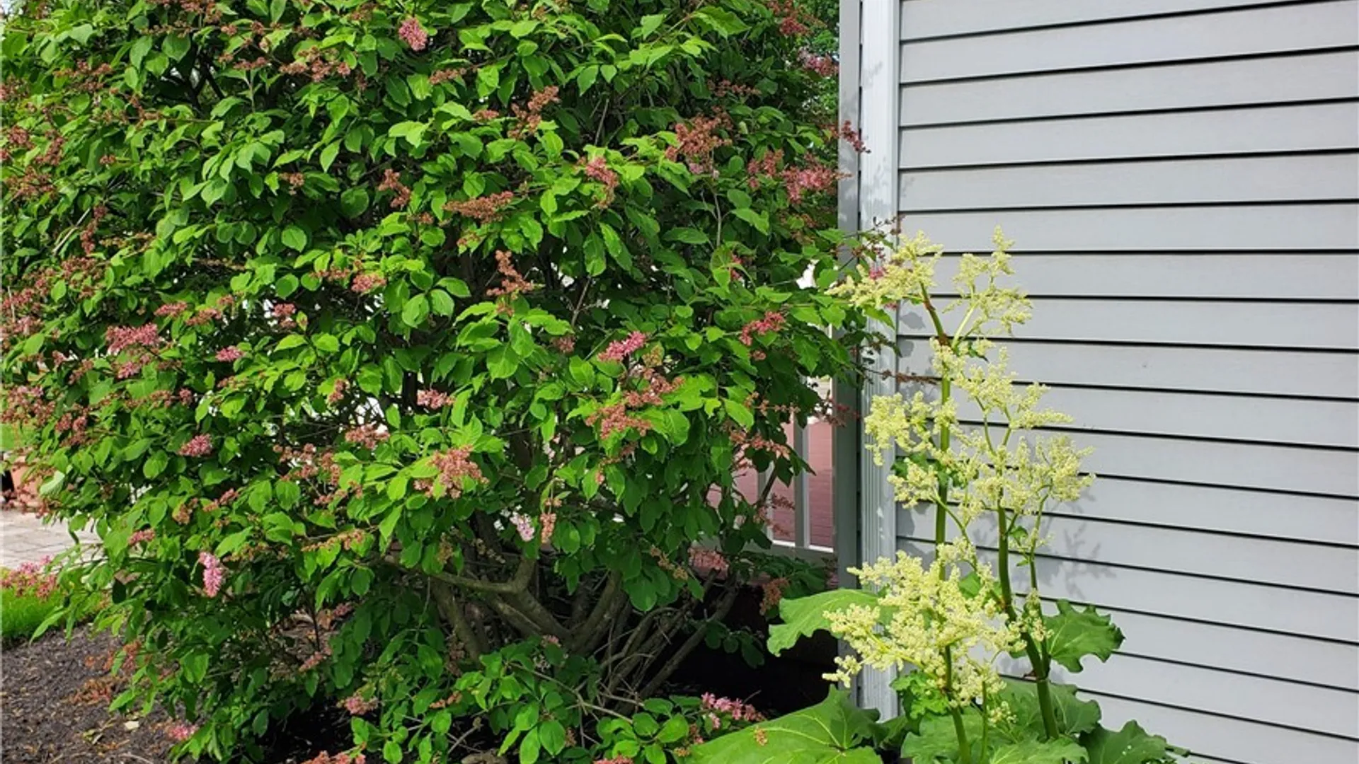 Property at 7203 Kendall Drive, Manlius, NY 13057 41