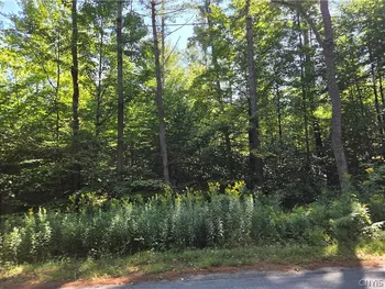 Property at 5566 Partridgeville Road, Greig, NY 13345