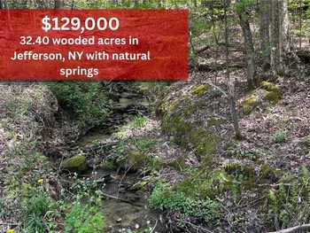 Property at 1-20 Sternberg Road, Jefferson, NY 12093