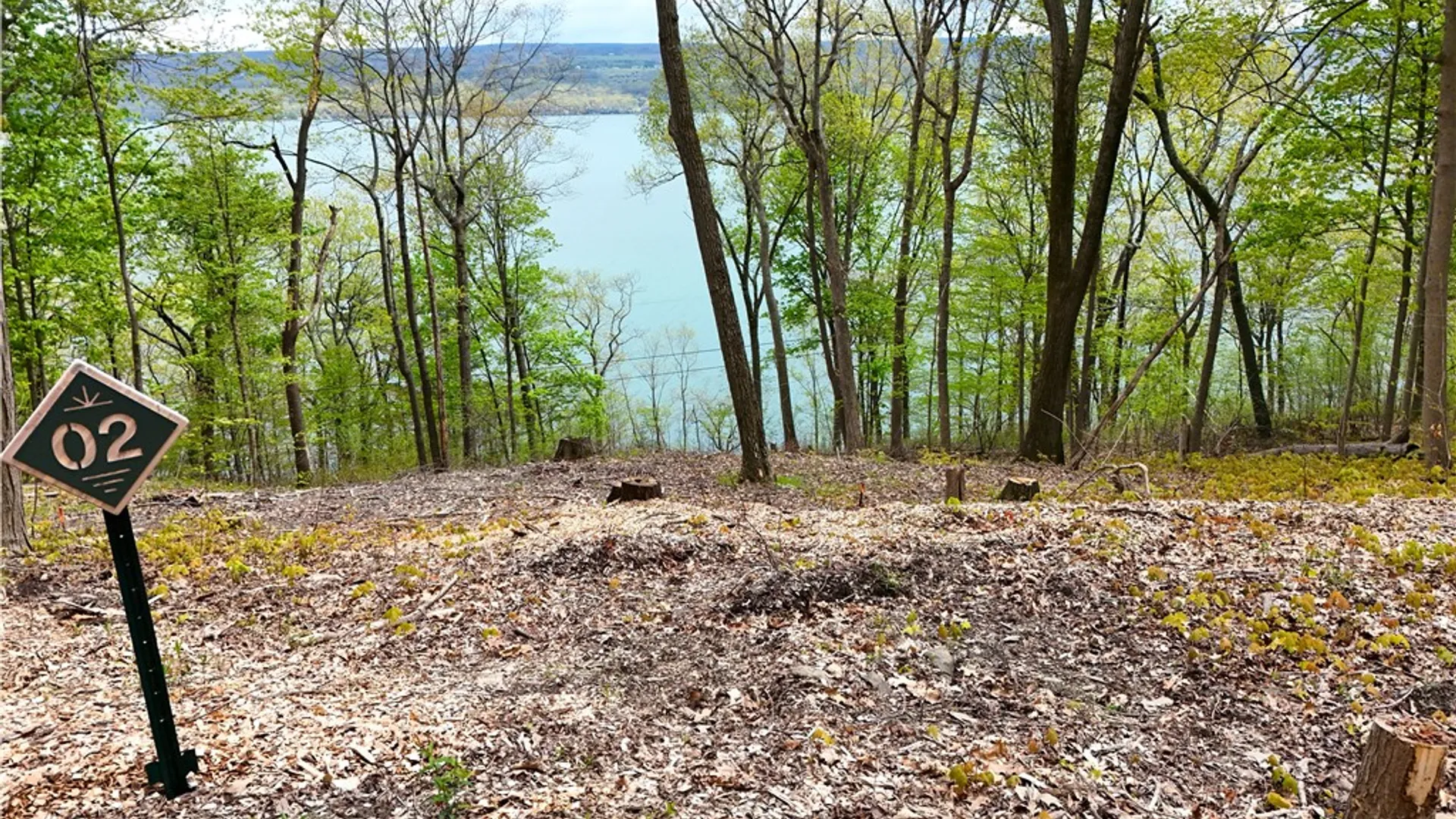 Property at 2 Nora's Way, Starkey, NY 14837 6