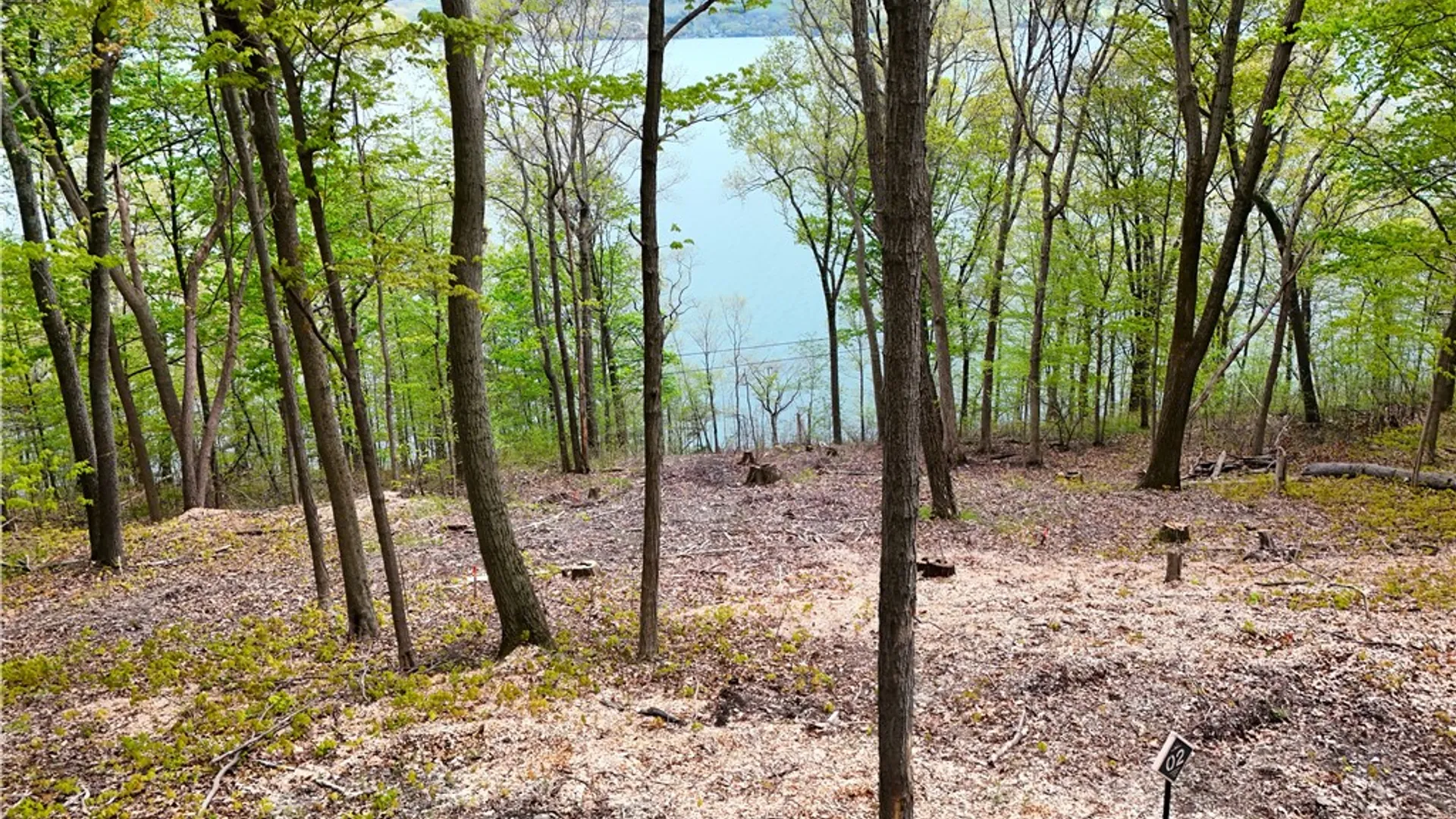 Property at 2 Nora's Way, Starkey, NY 14837 7