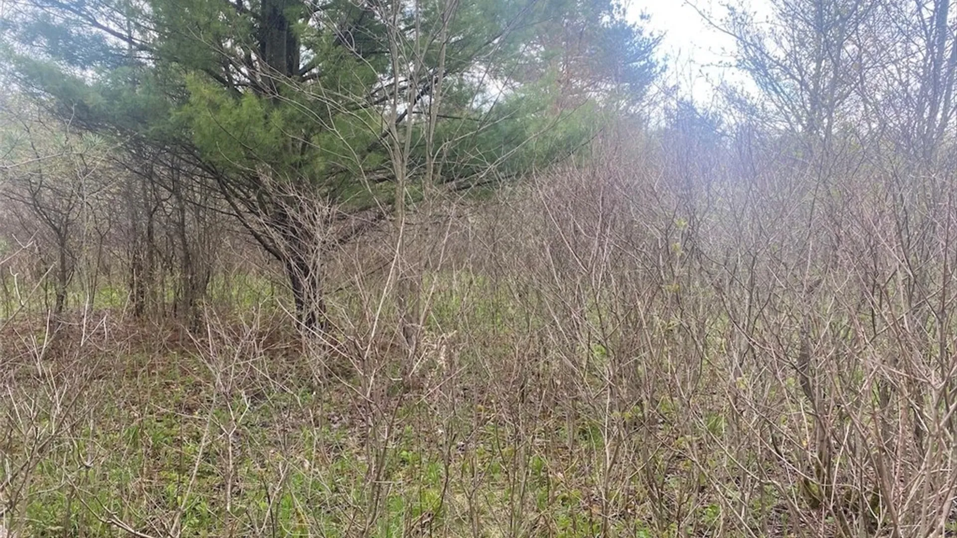 Property at 6281 E Hill Road, Caneadea, NY 14717 11