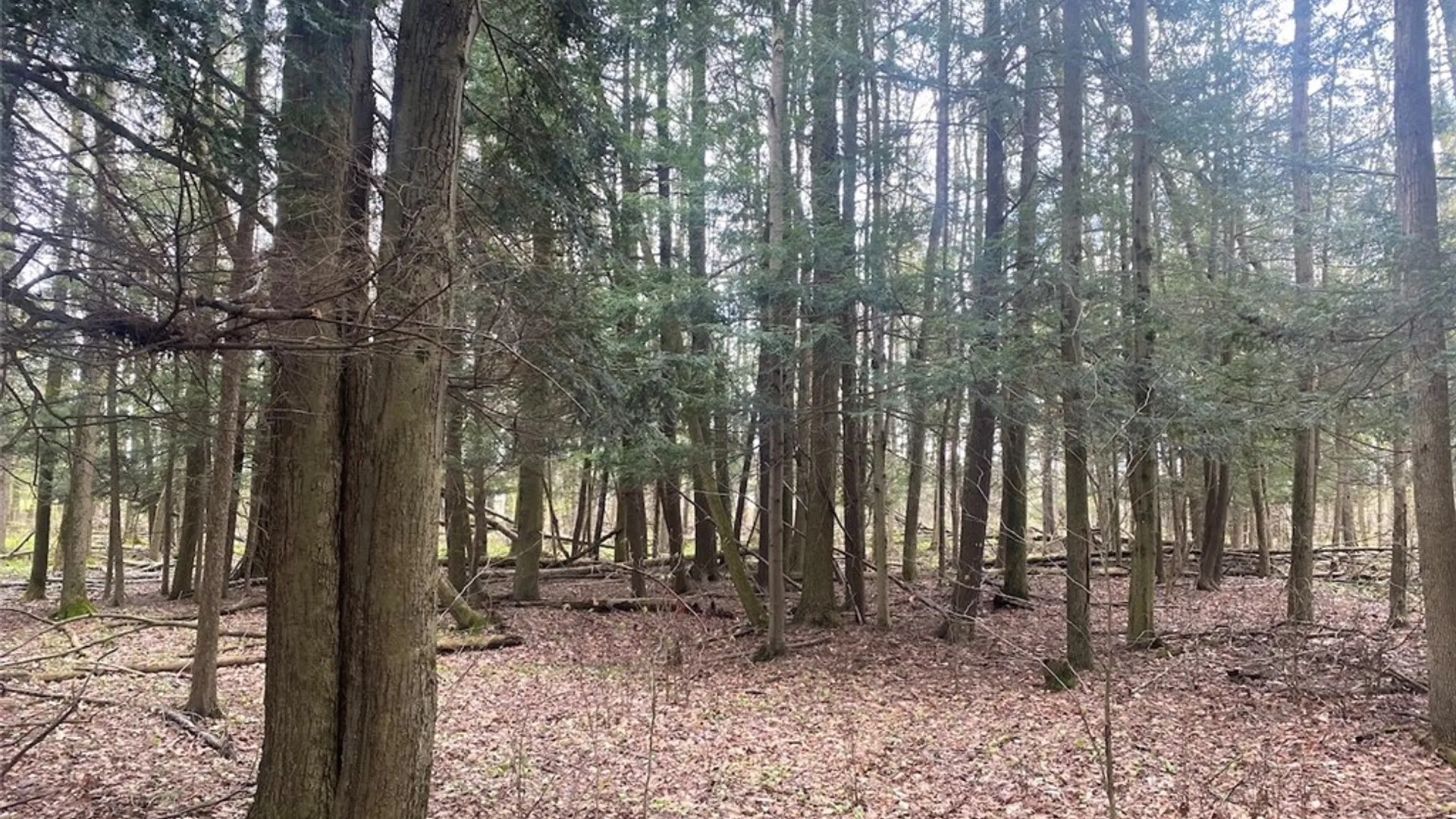 Property at 6281 E Hill Road, Caneadea, NY 14717 15