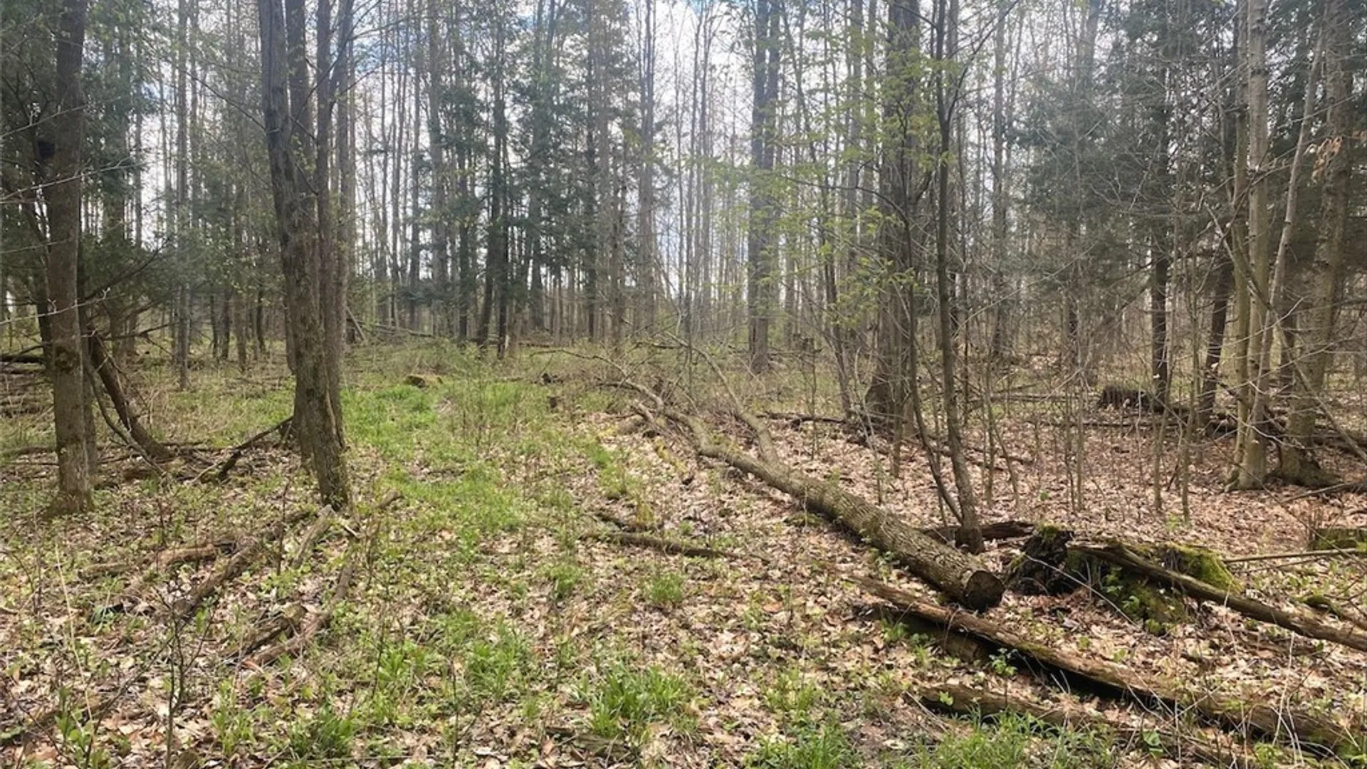 Property at 6281 E Hill Road, Caneadea, NY 14717 16