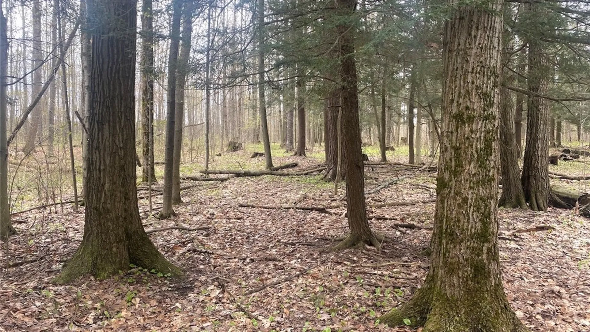 Property at 6281 E Hill Road, Caneadea, NY 14717 17