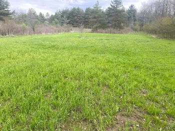 Property at 6281 E Hill Road, Caneadea, NY 14717