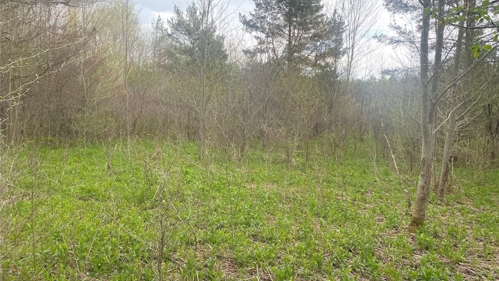 Property at 6281 E Hill Road, Caneadea, NY 14717 6