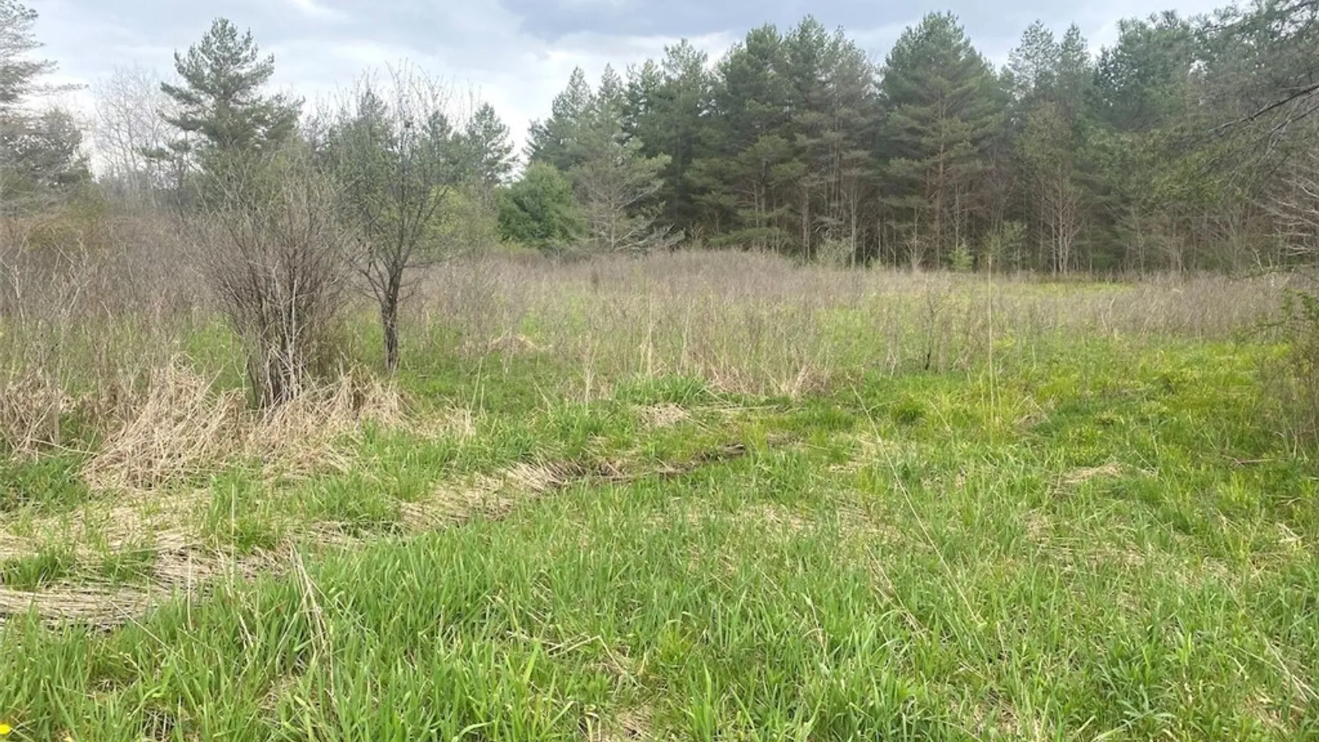 Property at 6281 E Hill Road, Caneadea, NY 14717 8