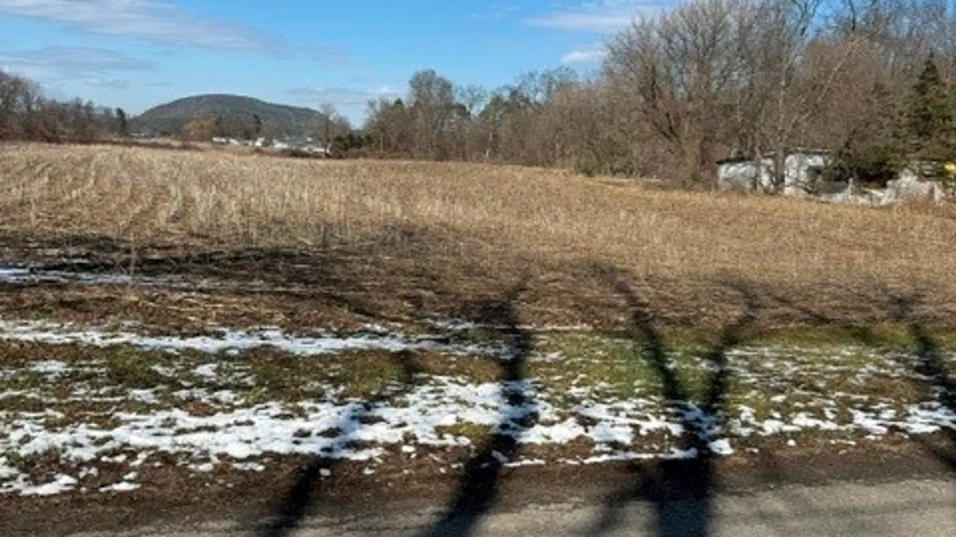 Property at 22 Brooks St, Lot C, Spencer, NY 14883 2