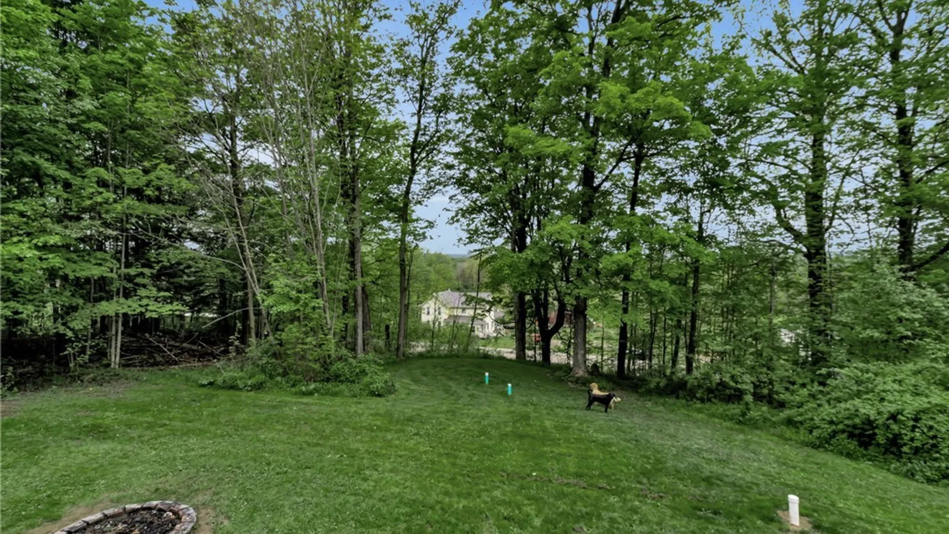 Property at 10588 Edies Road, Ashford, NY 14141 11