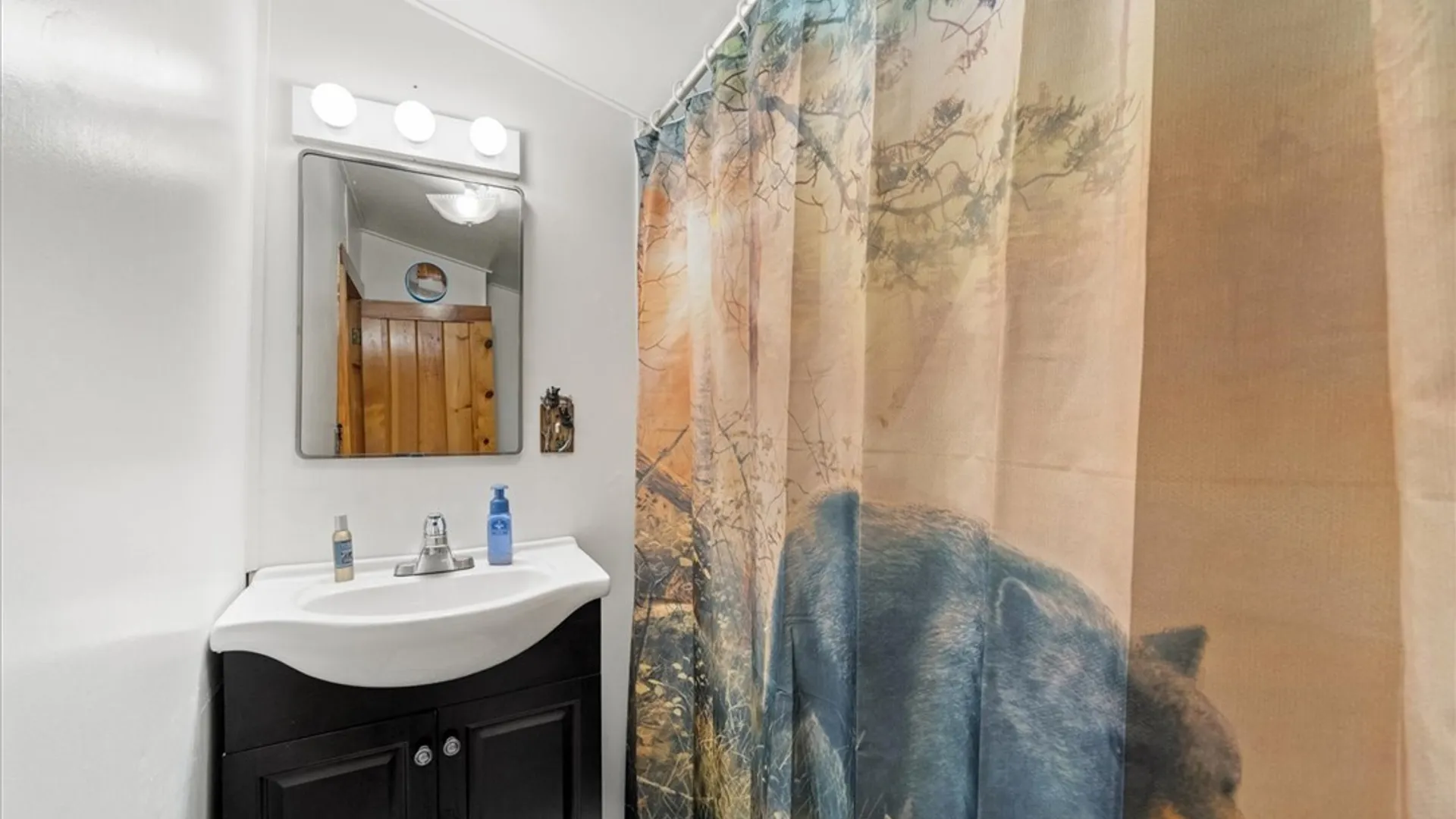 Property at 156 Minnow Brook, Webb, NY 13420 27