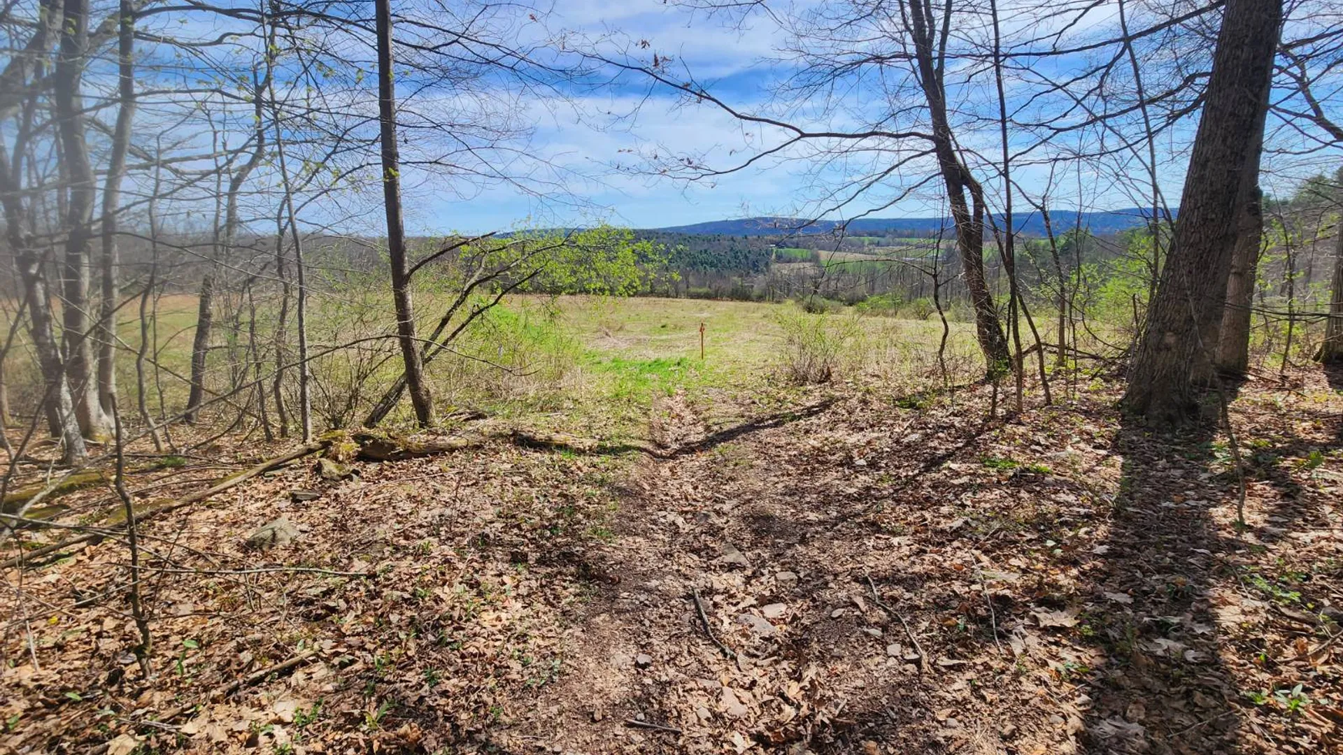 Property at 1132 County Road 34, Norwich, NY 13815 10