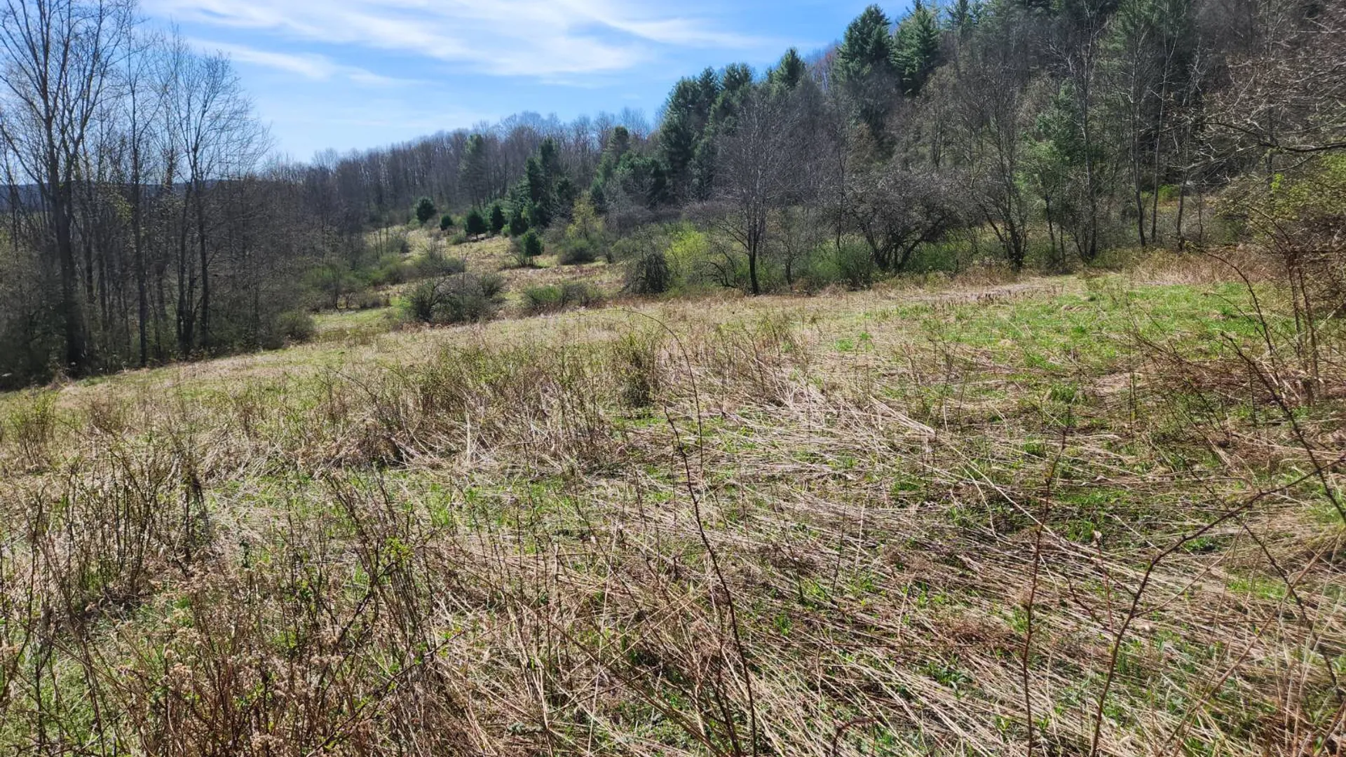 Property at 1132 County Road 34, Norwich, NY 13815 12
