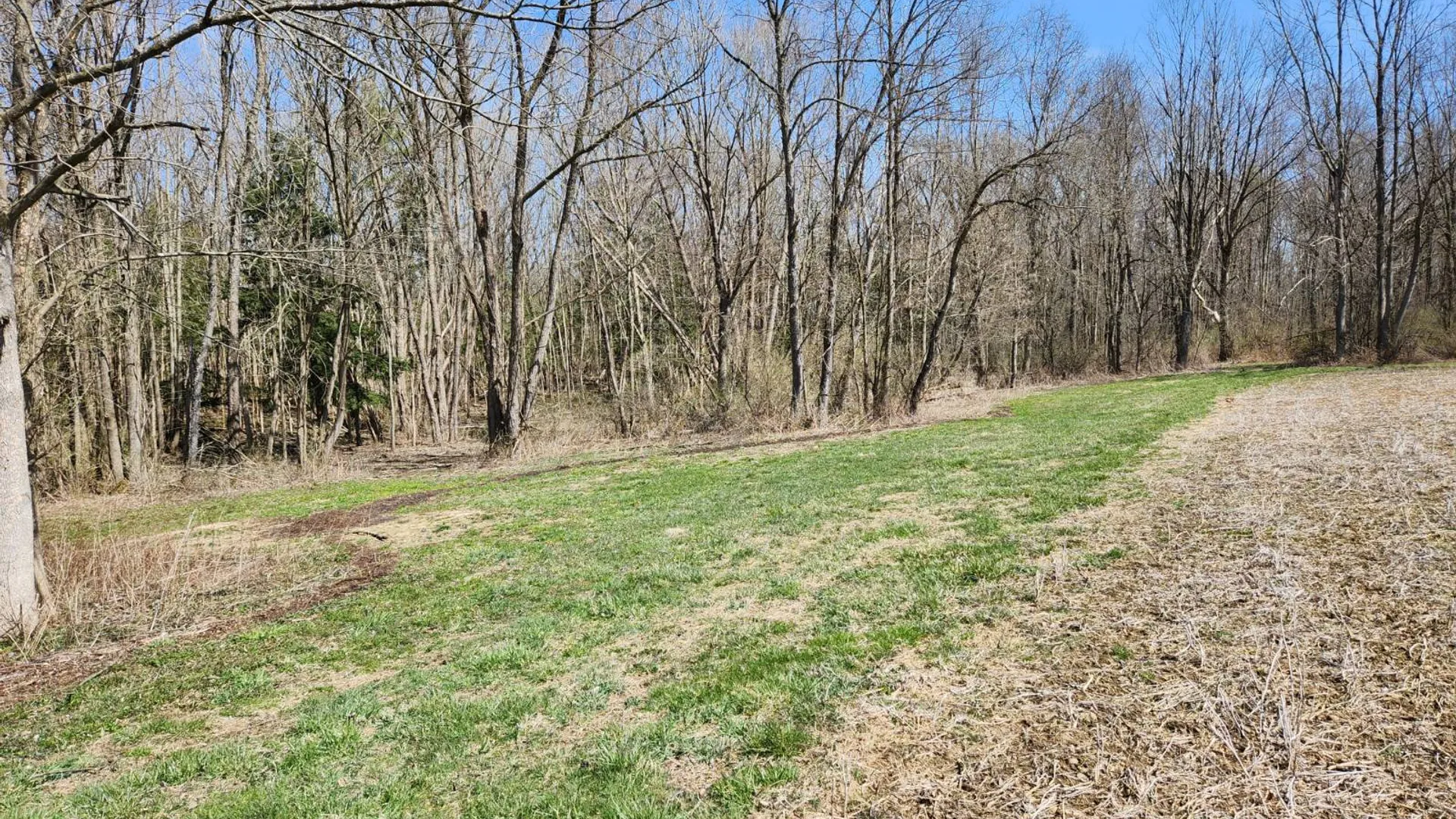 Property at 0 Hoag Road, Rome, NY 13440 4