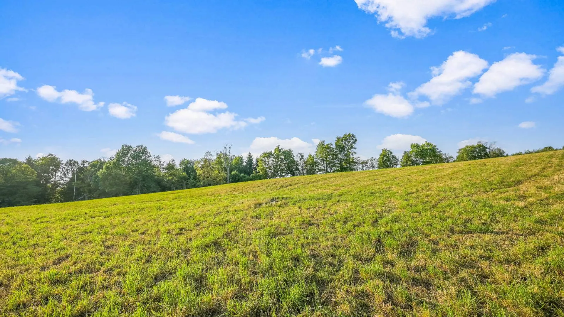 Property at 137 Stone Ridge Dr, Charlotteville, NY 12036 26