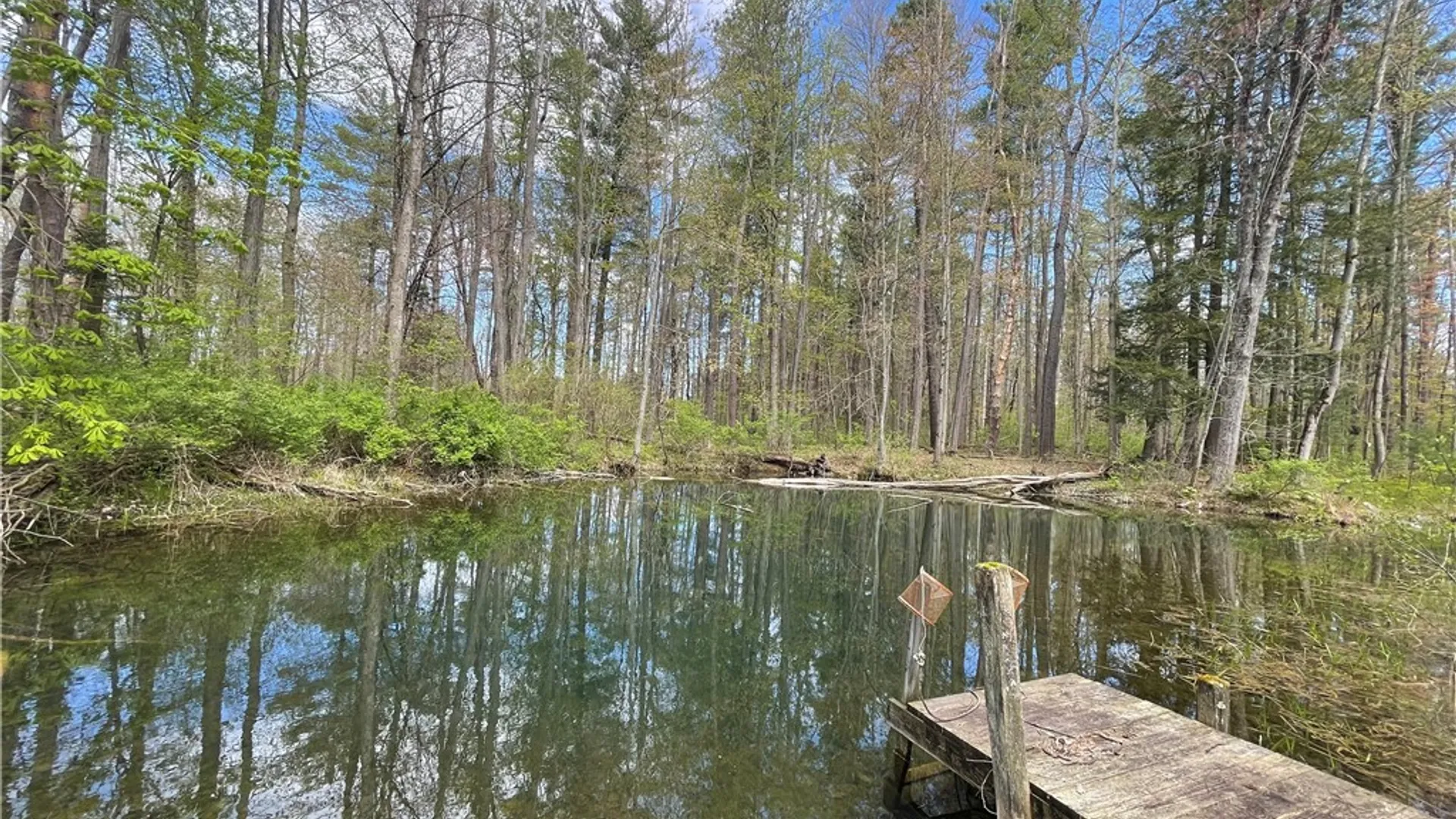 Property at 2962 Slaterville Road, Caroline, NY 14817 48