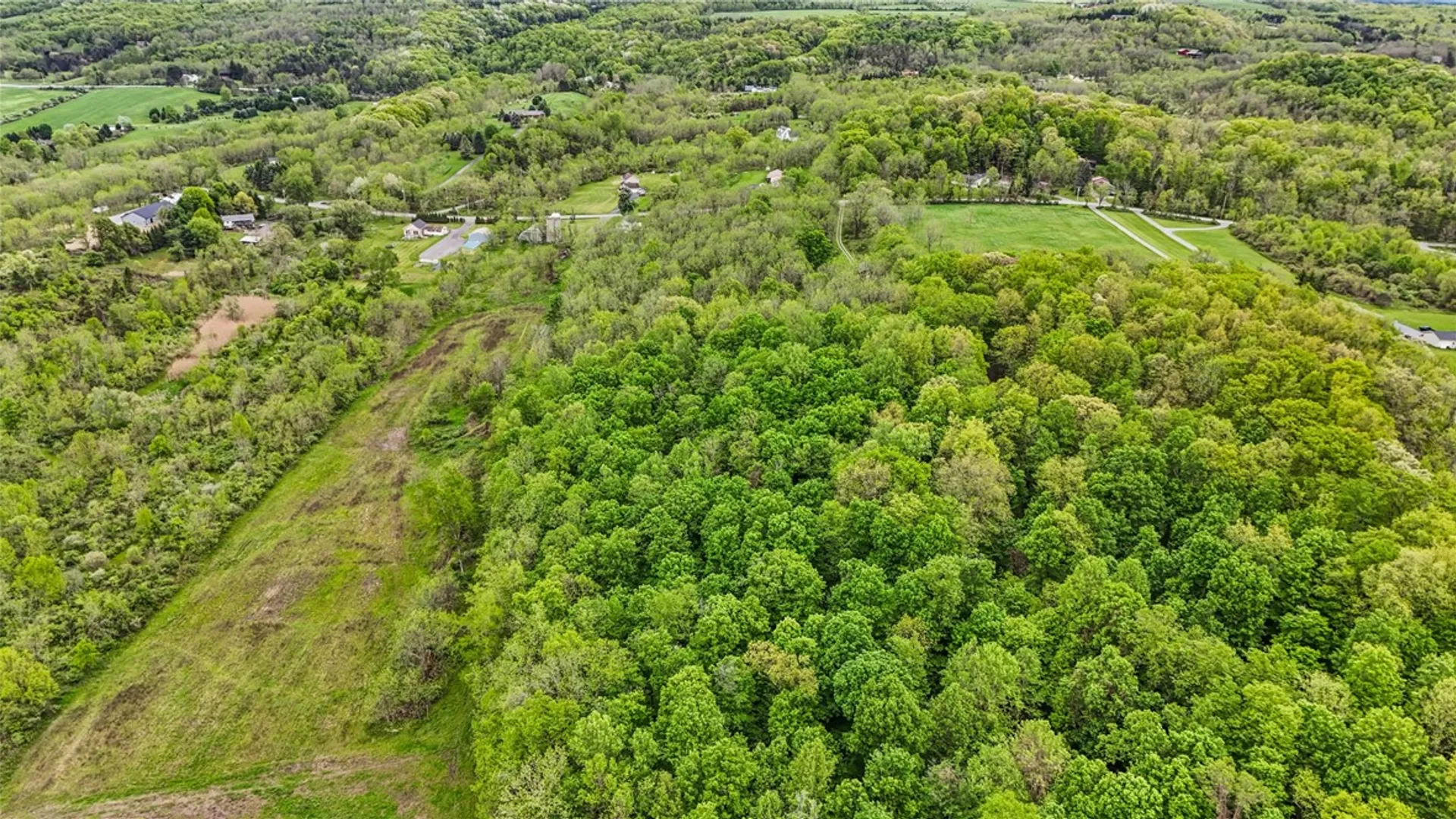Property at 9380 Big Tree Road, Richmond, NY 14466 10