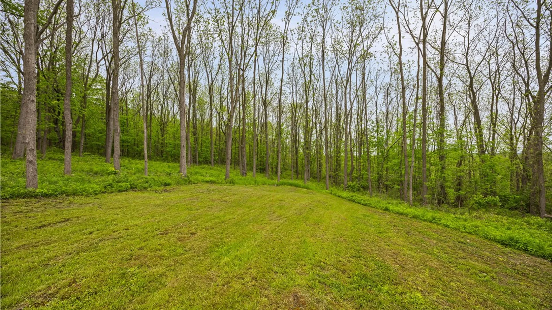 Property at 9380 Big Tree Road, Richmond, NY 14466 2