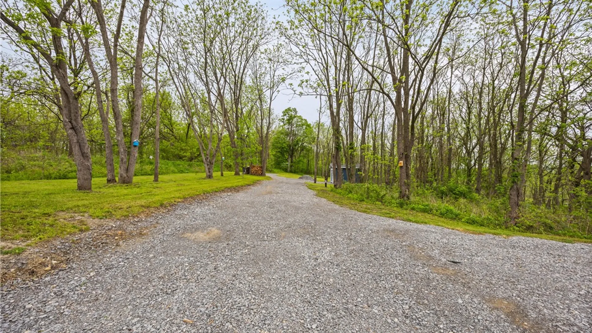 Property at 9380 Big Tree Road, Richmond, NY 14466 4