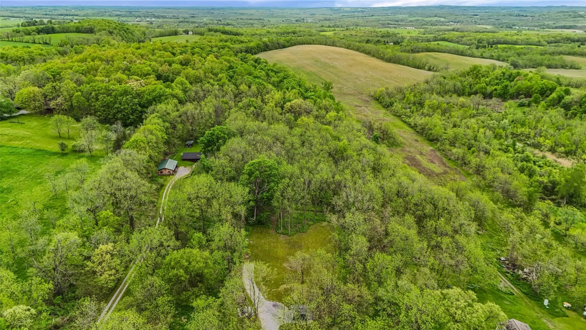 Property at 9380 Big Tree Road, Richmond, NY 14466 7