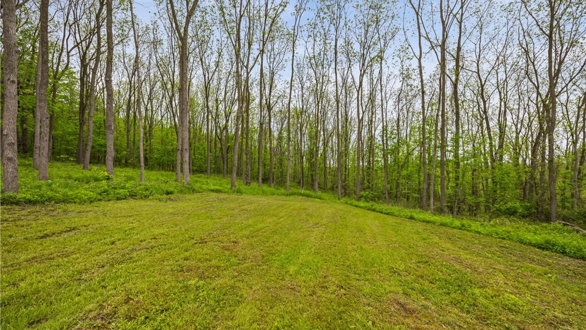 Property at 9380 Big Tree Road, Richmond, NY 14466 8
