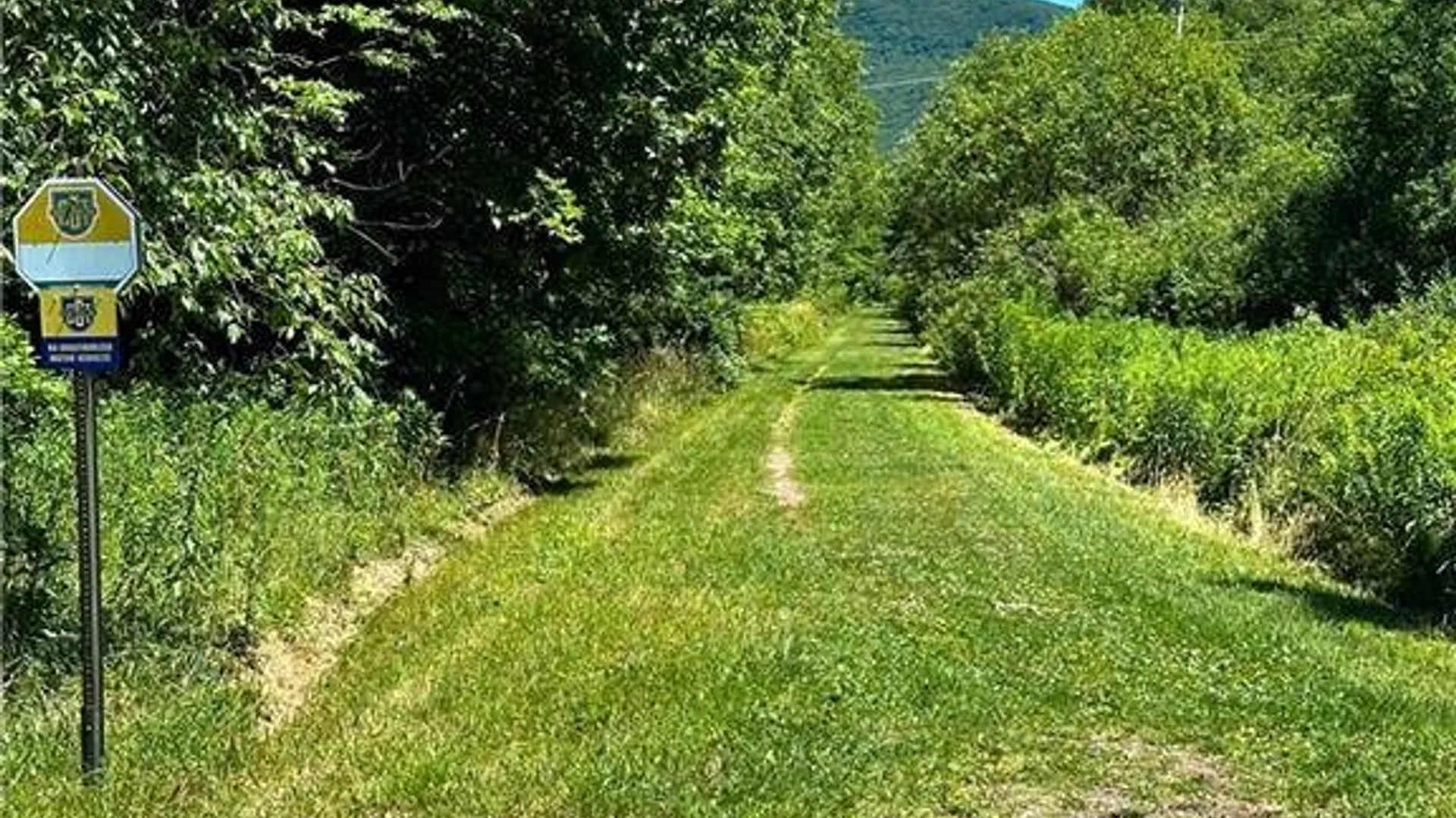 Property at 263 Schuman Road, Roxbury, NY 12474 4
