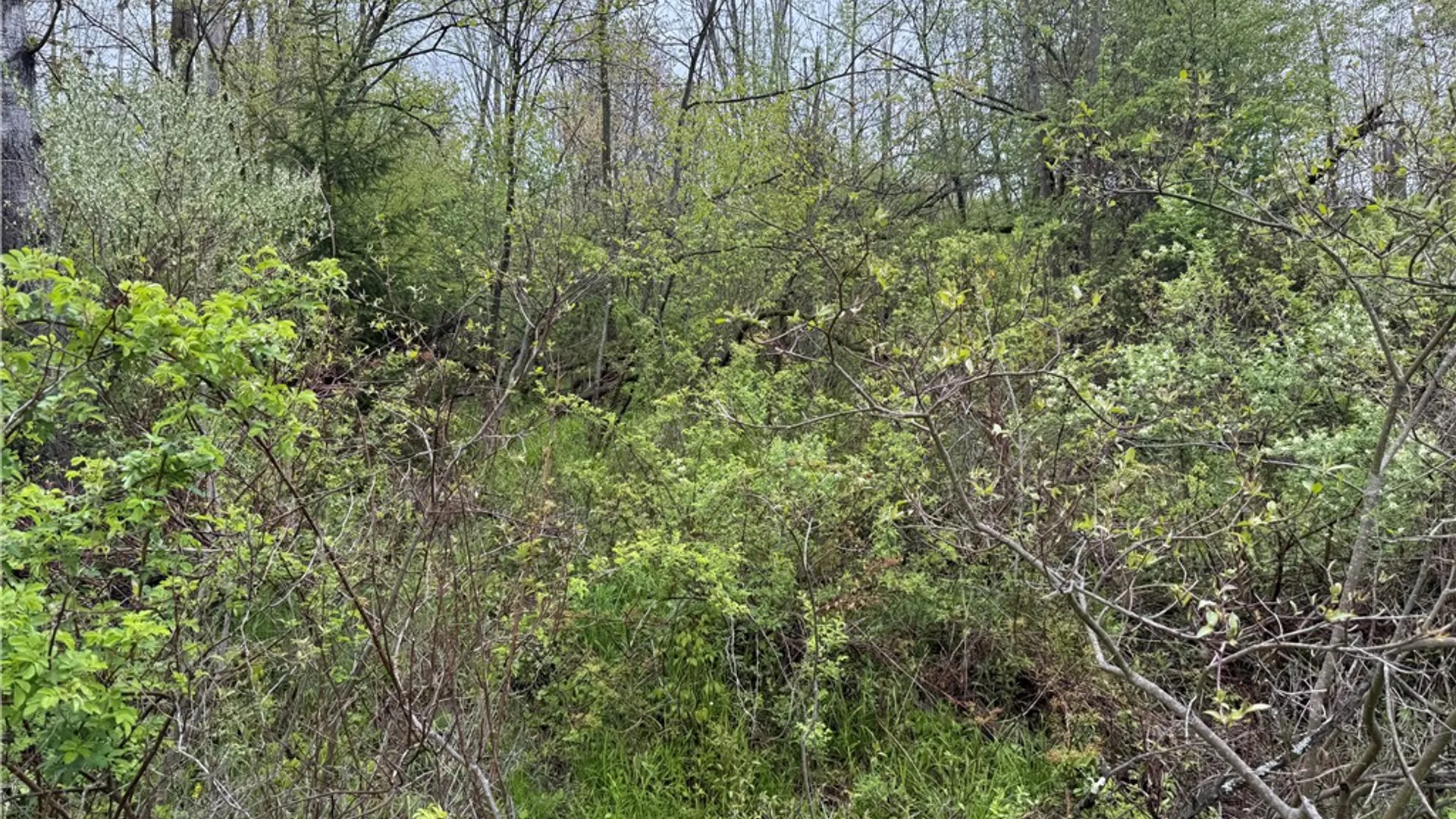 Property at 1645 Forest Avenue Extension, Busti, NY 14701 10
