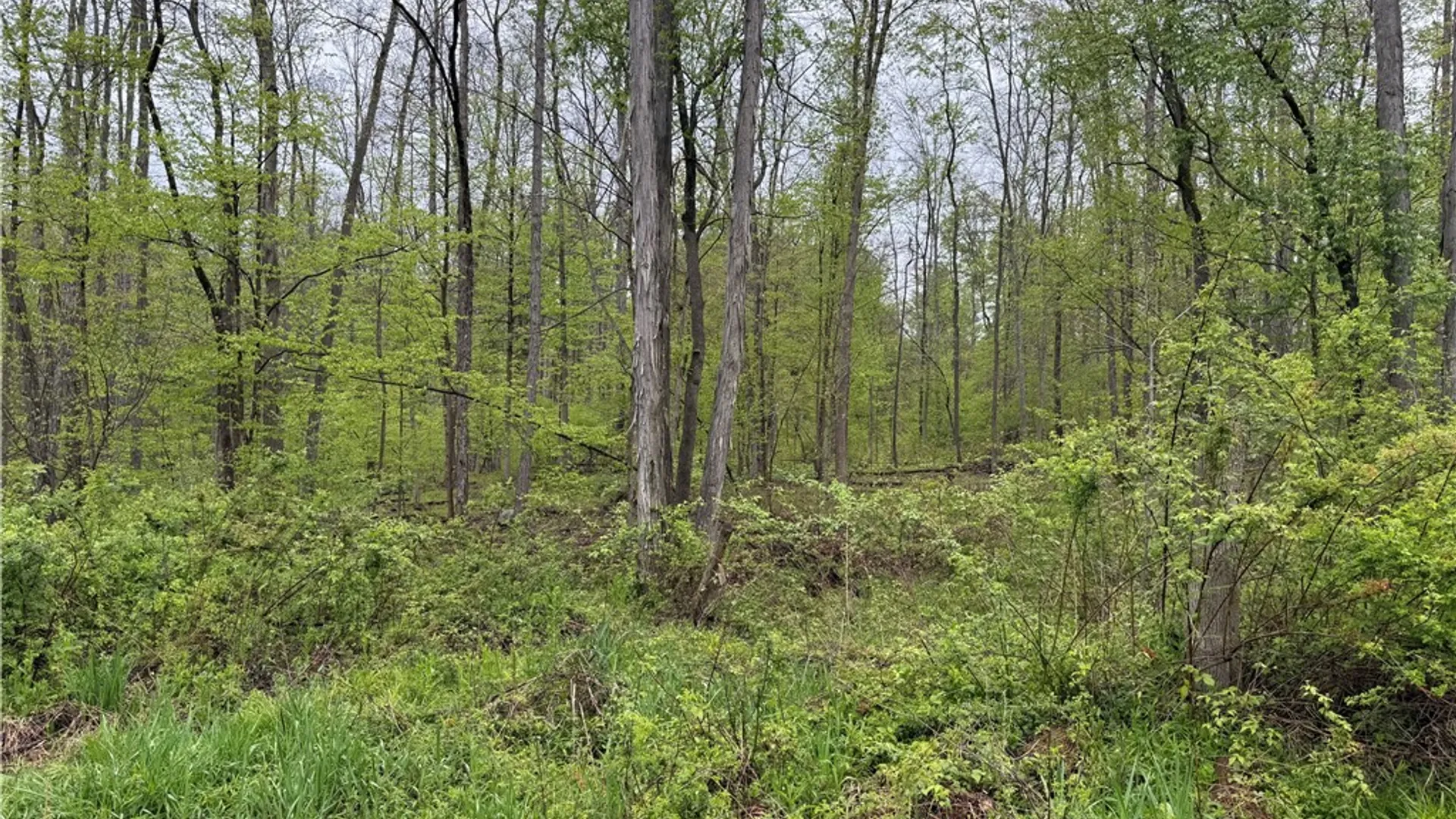 Property at 1645 Forest Avenue Extension, Busti, NY 14701 11