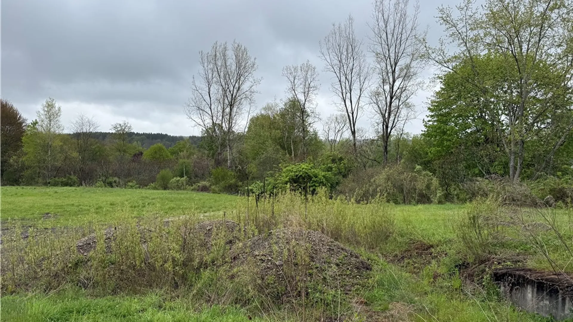 Property at 1645 Forest Avenue Extension, Busti, NY 14701 8