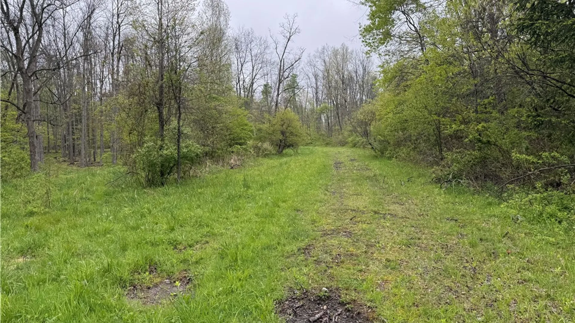 Property at 1645 Forest Avenue Extension, Busti, NY 14701 9
