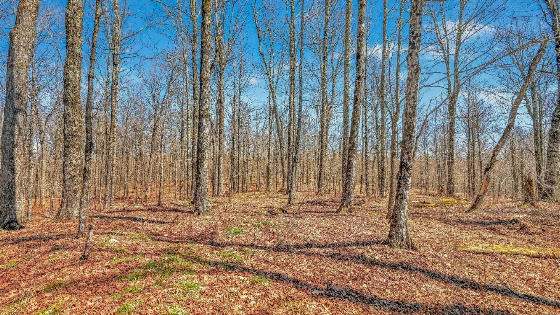 Property at L25 Parker Schoolhouse Rd, Davenport, NY 13750 10