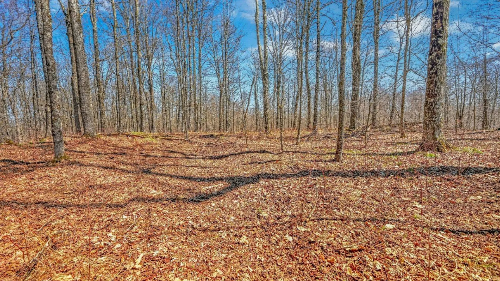 Property at L25 Parker Schoolhouse Rd, Davenport, NY 13750 11