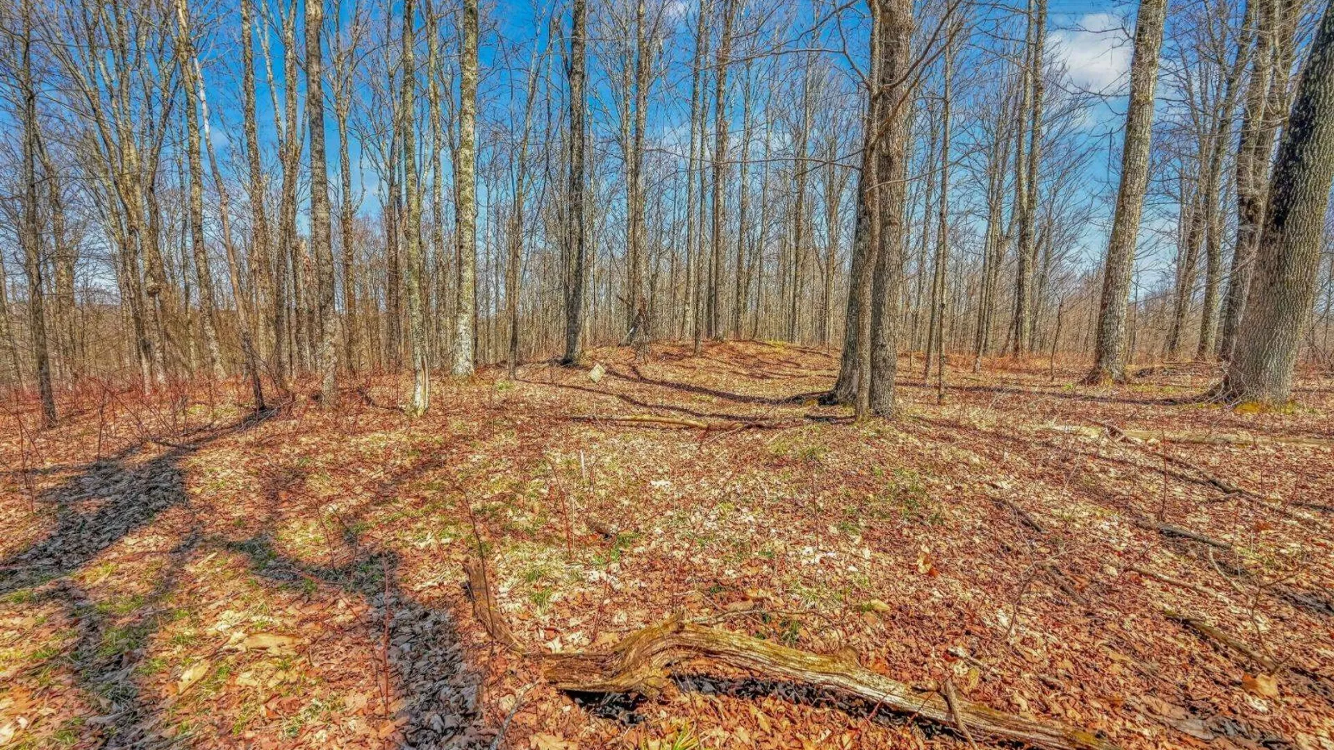 Property at L25 Parker Schoolhouse Rd, Davenport, NY 13750 12