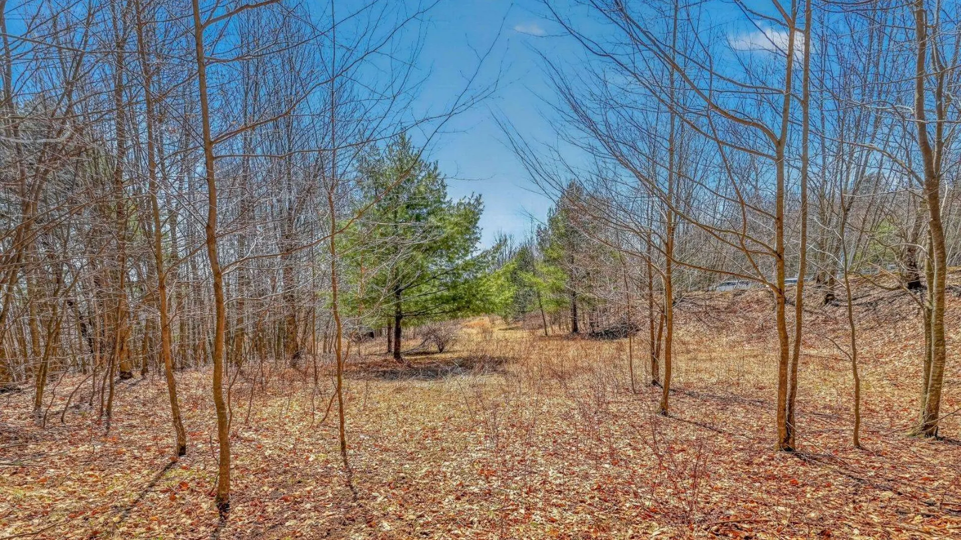 Property at L25 Parker Schoolhouse Rd, Davenport, NY 13750 16