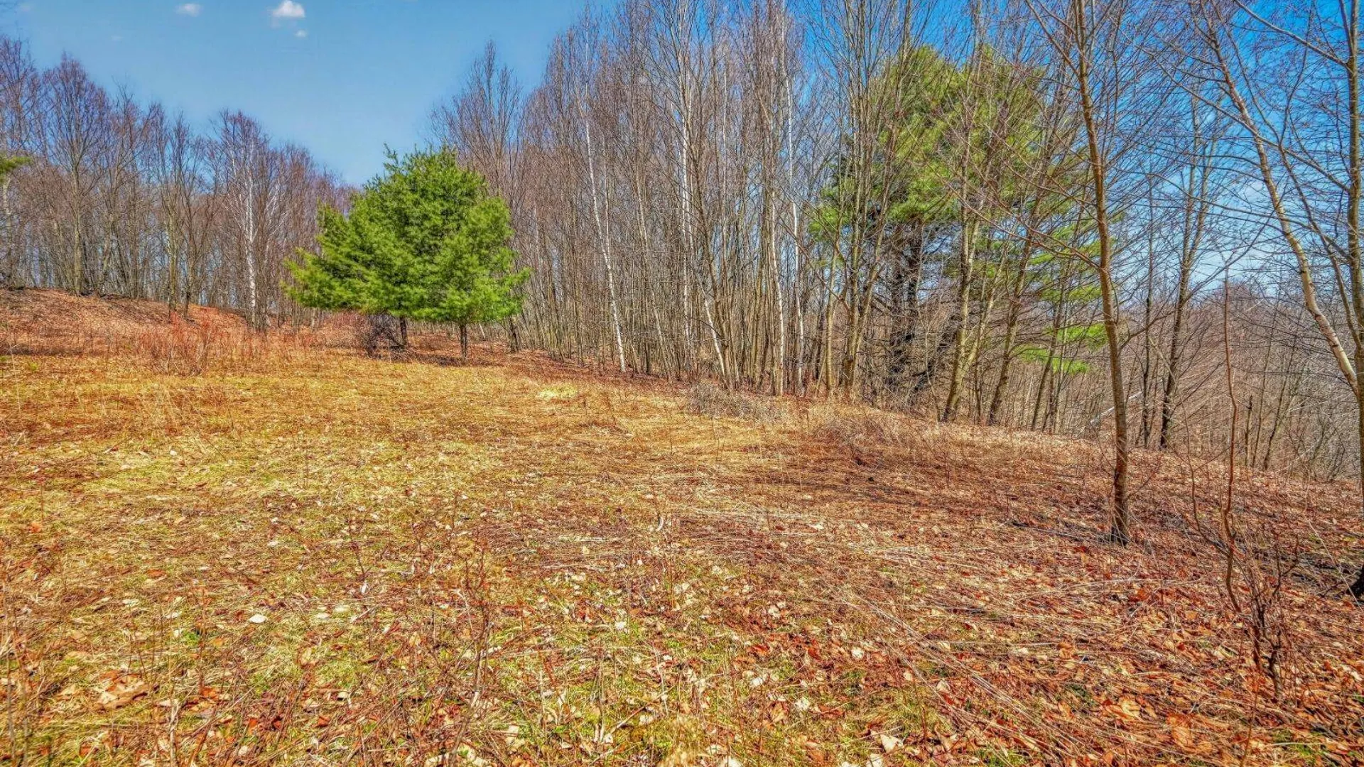 Property at L25 Parker Schoolhouse Rd, Davenport, NY 13750 17