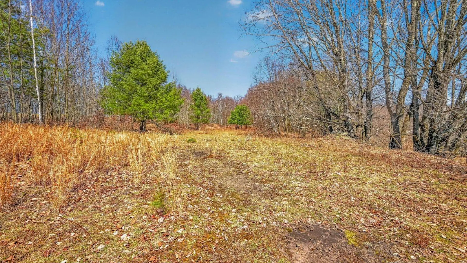 Property at L25 Parker Schoolhouse Rd, Davenport, NY 13750 2