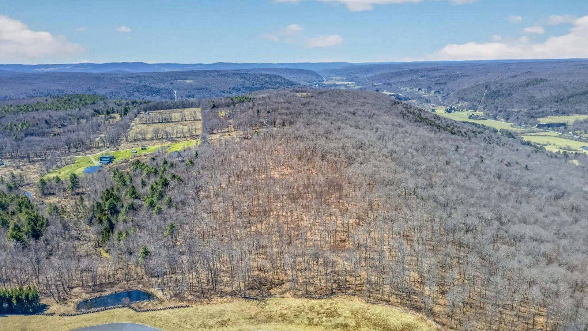 Property at L25 Parker Schoolhouse Rd, Davenport, NY 13750 22