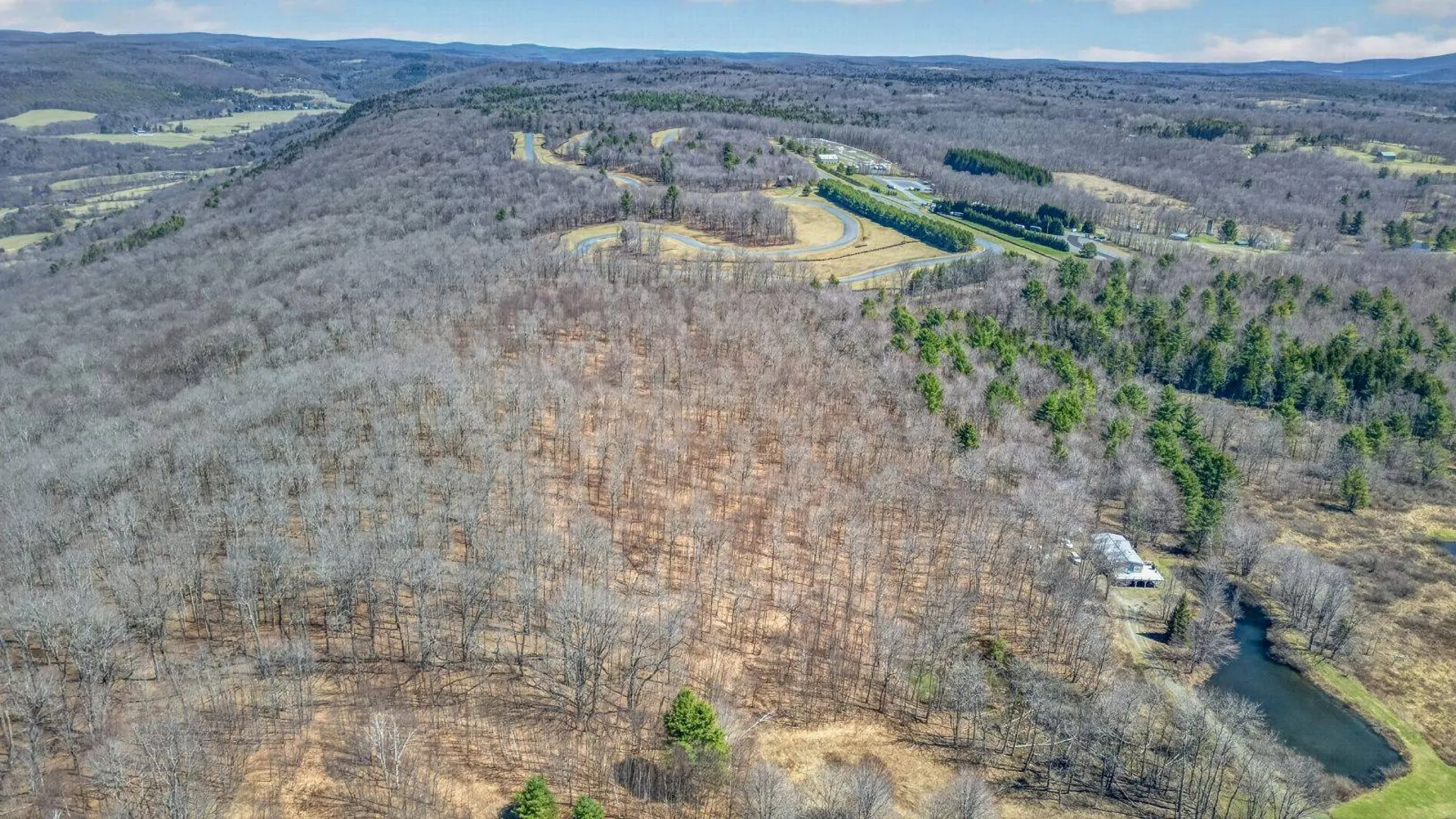 Property at L25 Parker Schoolhouse Rd, Davenport, NY 13750 23