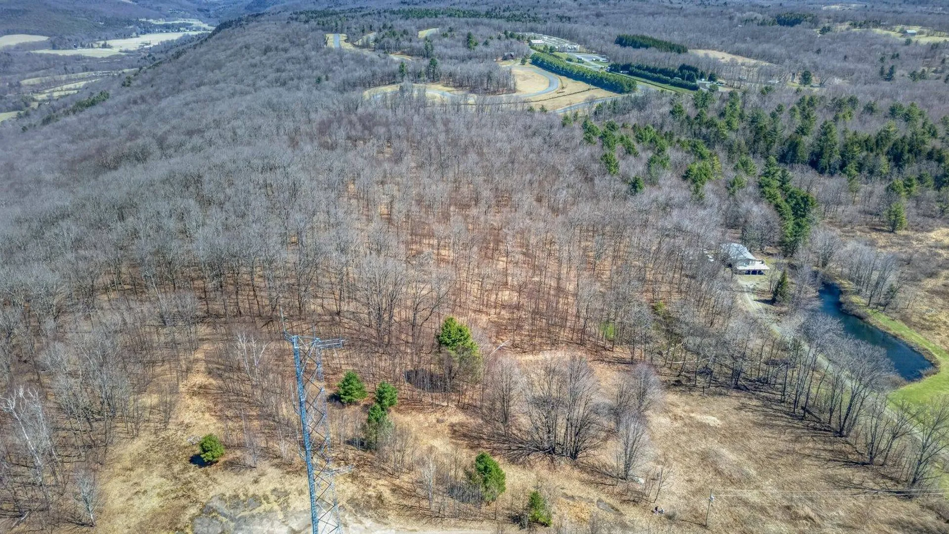 Property at L25 Parker Schoolhouse Rd, Davenport, NY 13750 24