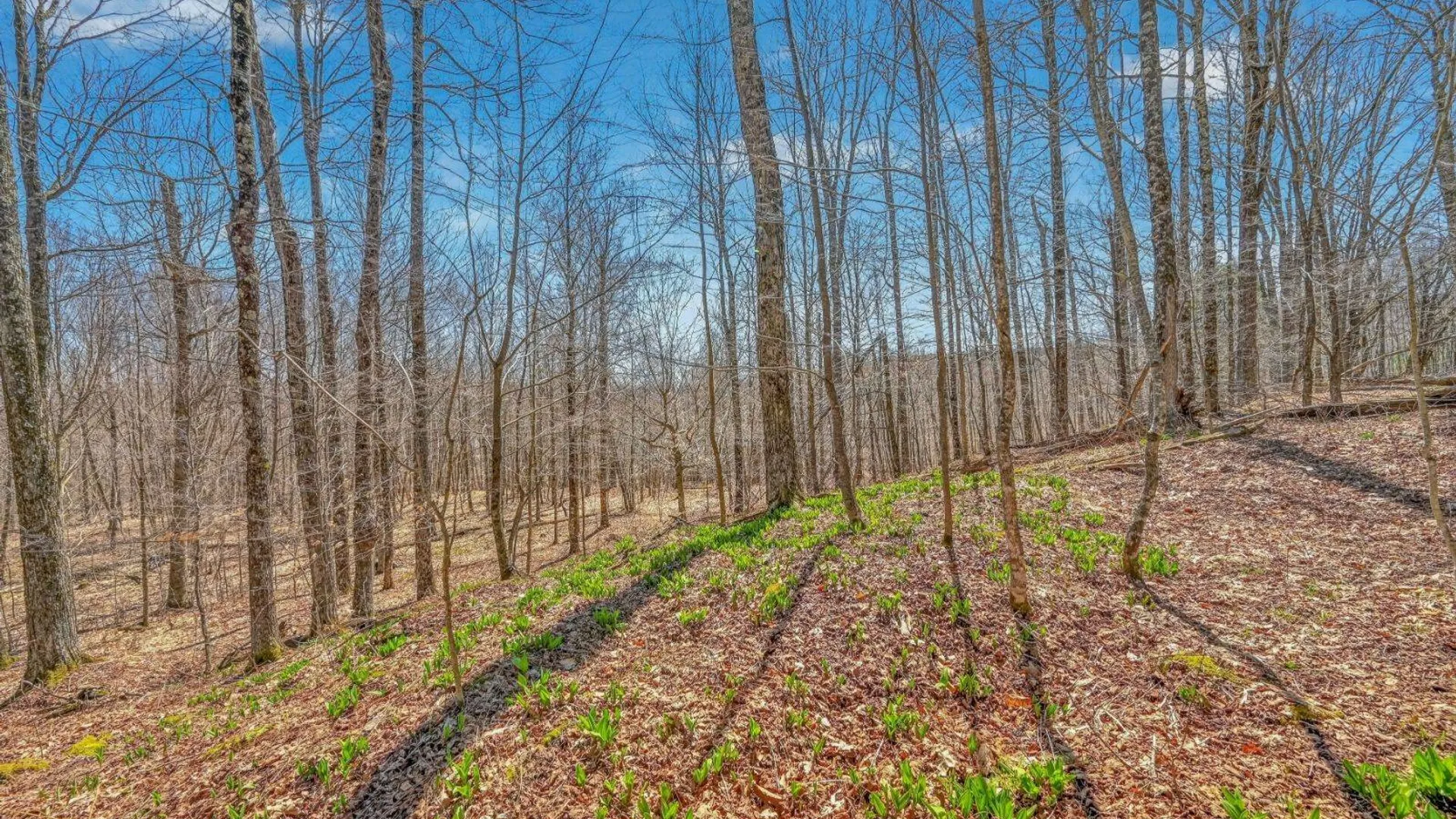 Property at L25 Parker Schoolhouse Rd, Davenport, NY 13750 4