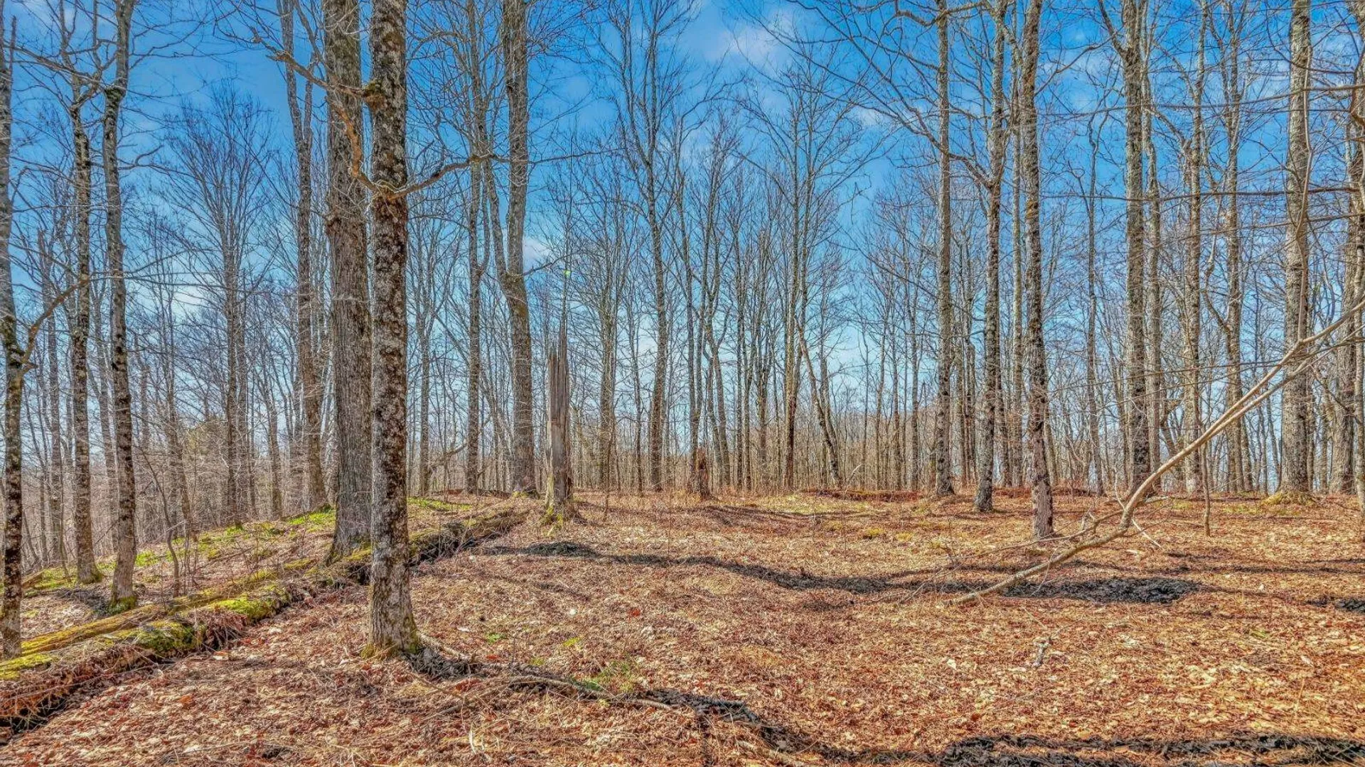 Property at L25 Parker Schoolhouse Rd, Davenport, NY 13750 5