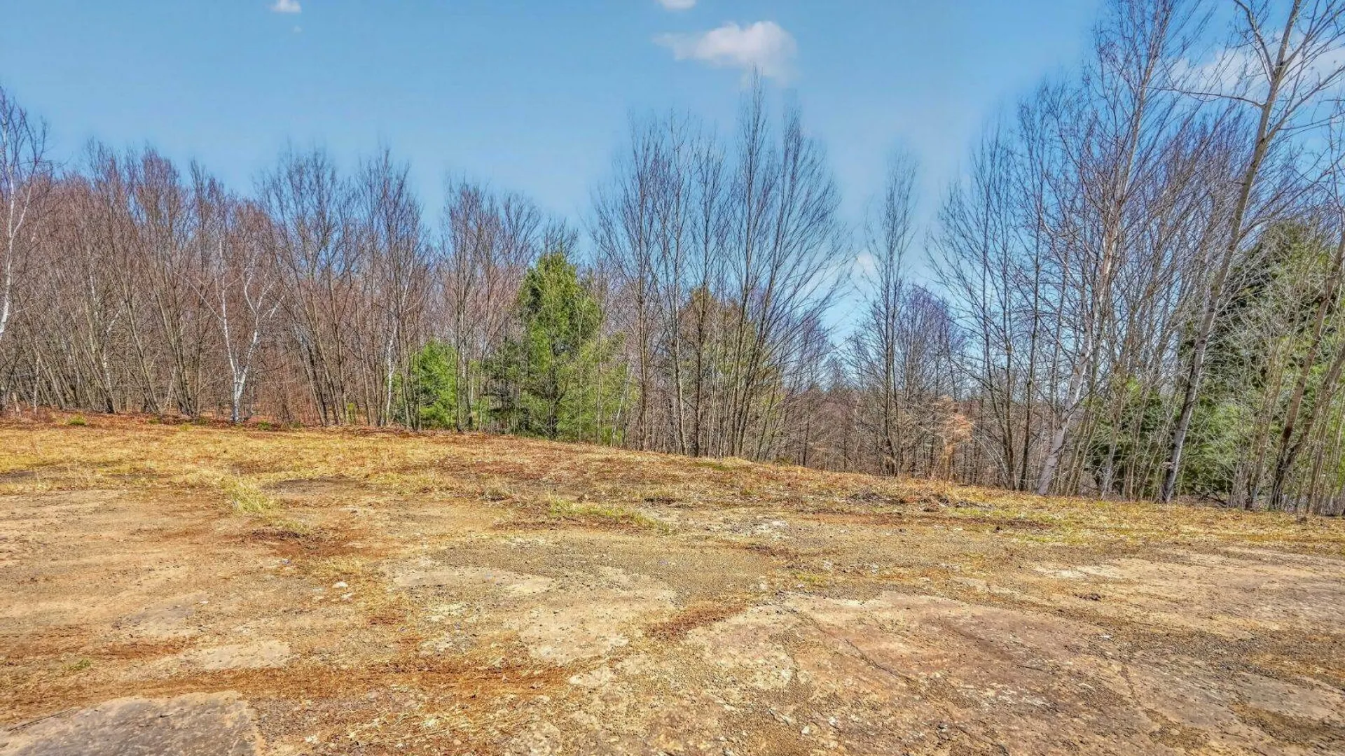 Property at L25 Parker Schoolhouse Rd, Davenport, NY 13750 6