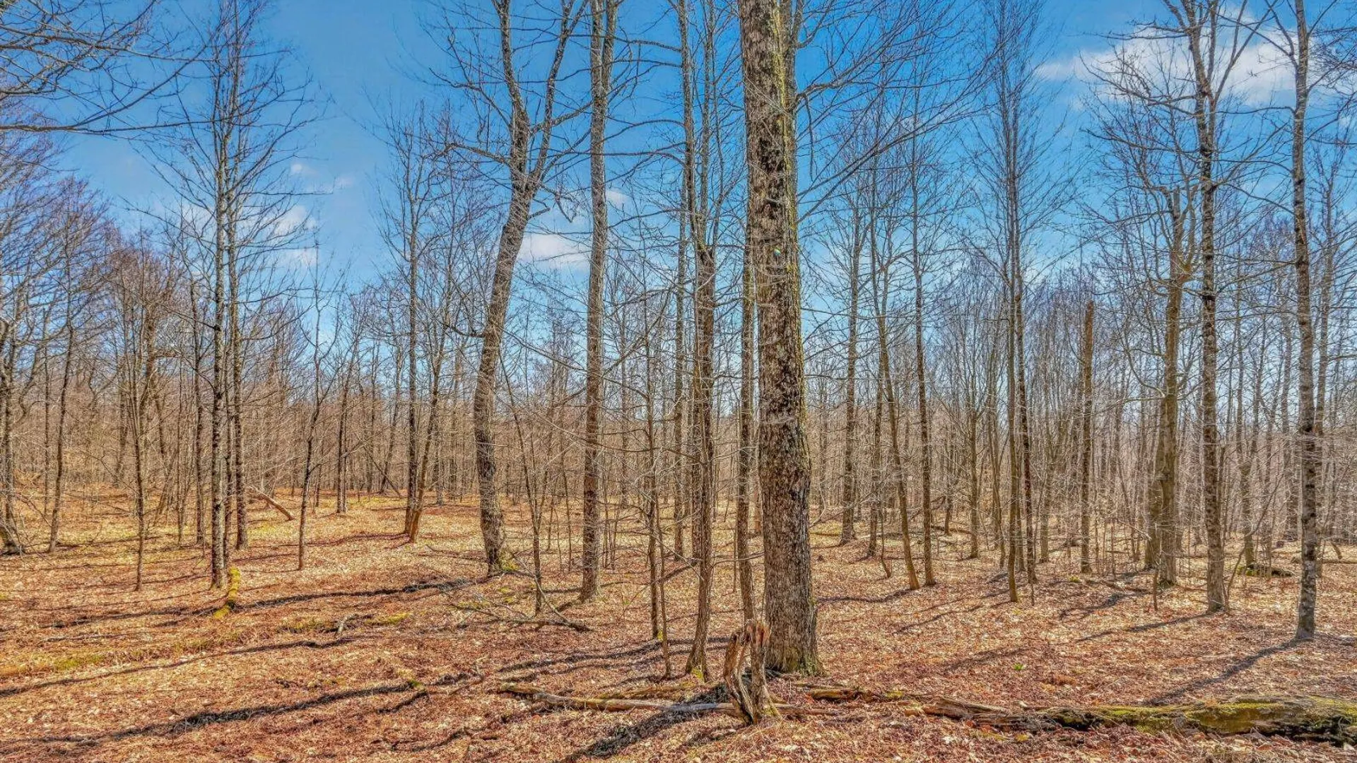 Property at L25 Parker Schoolhouse Rd, Davenport, NY 13750 7